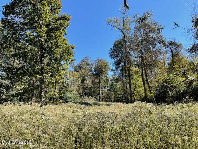 North Ratliff Road Jackson, MS 39209 - Photo 1 of 5 Shelterwood 1