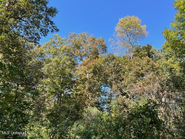North Ratliff Road Jackson, MS 39209 - Photo 2 of 5 Shelterwood 2