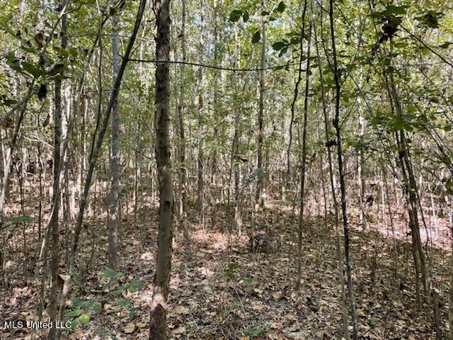 North Ratliff Road Jackson, MS 39209 - Photo 3 of 5 Shelterwood 4