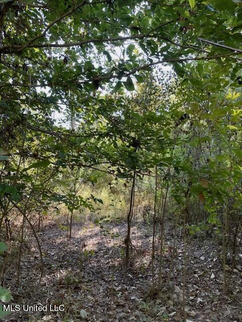 North Ratliff Road Jackson, MS 39209 - Photo 4 of 5 Shelterwood 3