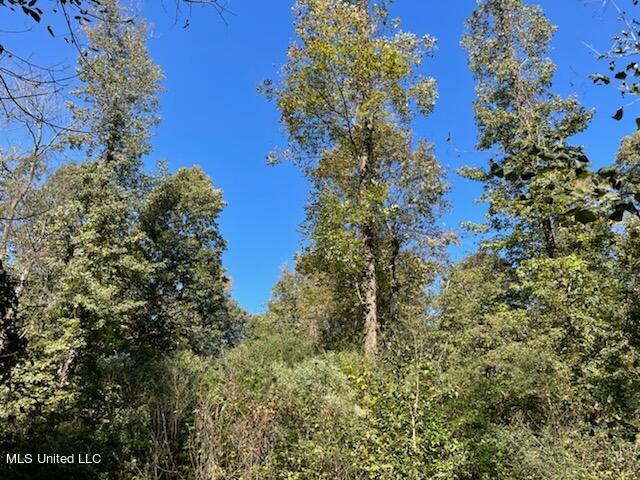 North Ratliff Road Jackson, MS 39209 - Photo 5 of 5 Shelterwood 5