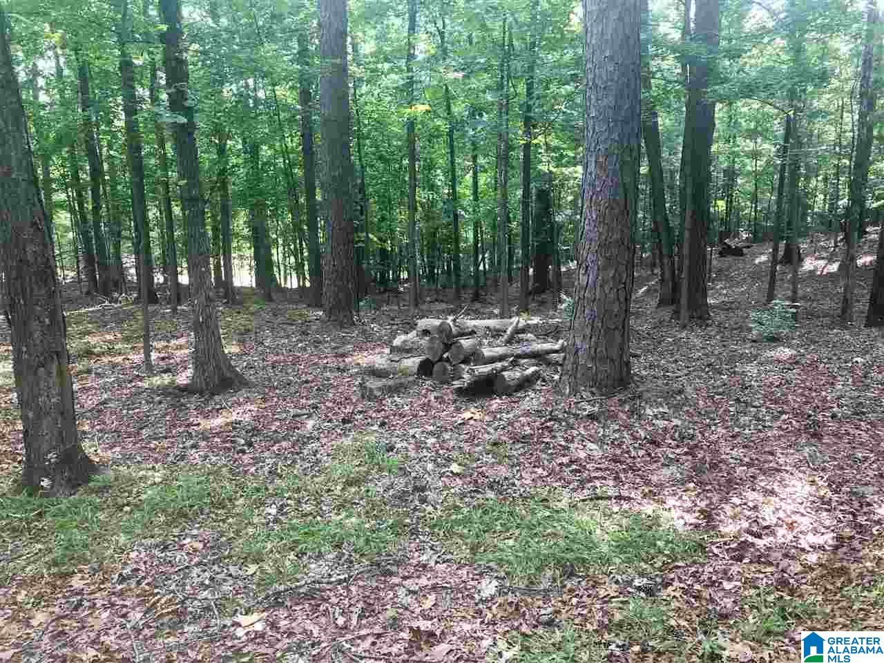 404 Jasmine Hill Road, Unit 404 Pelham, AL 35124 - Photo 3 of 5