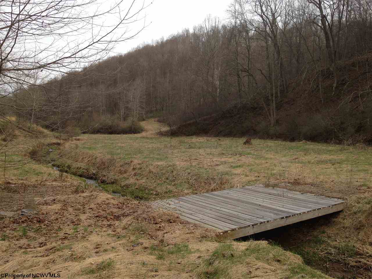 69.83 Roberts Run Road Metz, WV 26585 - Photo 14 of 15 Gallery Image 14