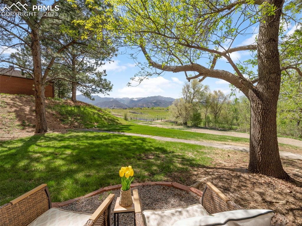 2622 Spring Grove Terrace Colorado Springs, CO 80906 - Photo 2 of 37 a view of a yard with an outdoor space