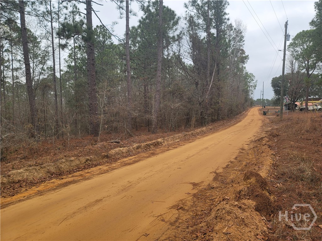 0 Jim Cannon Road Collins, GA 30421 - Photo 6 of 6 Street View