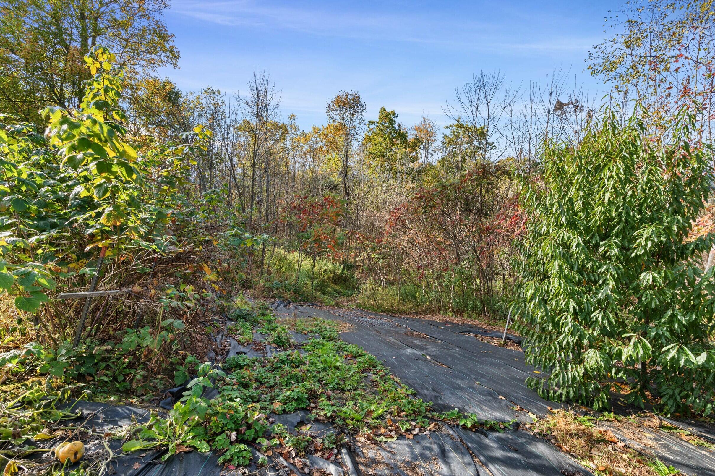 1618 Riverside Drive Vassalboro, ME 04989 - Photo 44 of 52 38-1618-Riverside-Dr-38