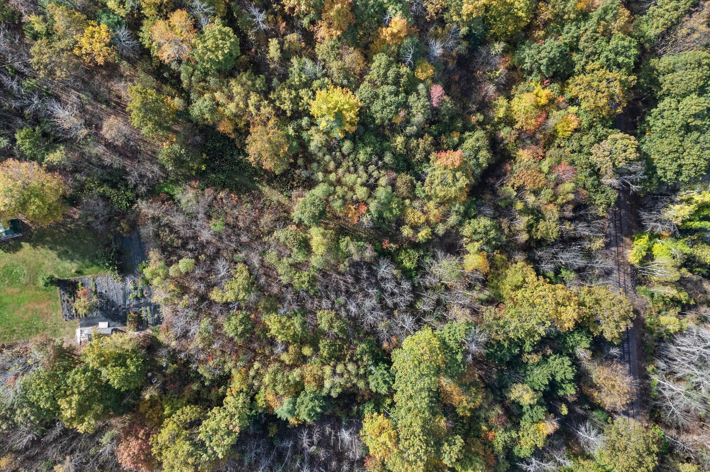 1618 Riverside Drive Vassalboro, ME 04989 - Photo 8 of 52 49-1618-Riverside-Dr-49