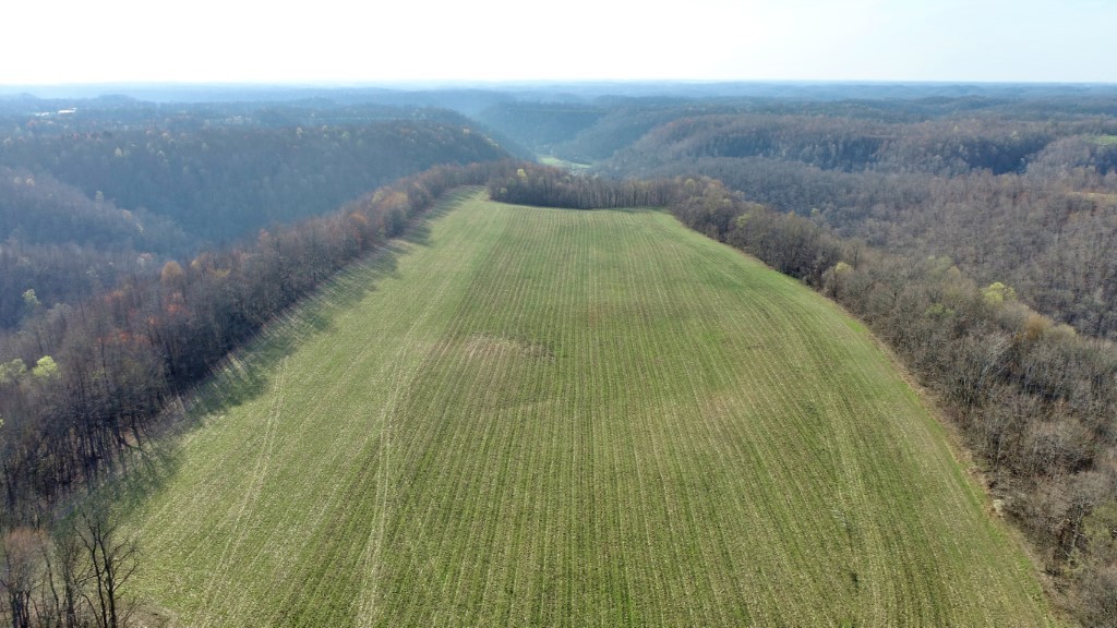4 Carthage Road Pleasant Shade, TN 37145 - Photo 2 of 5 a view of a yard