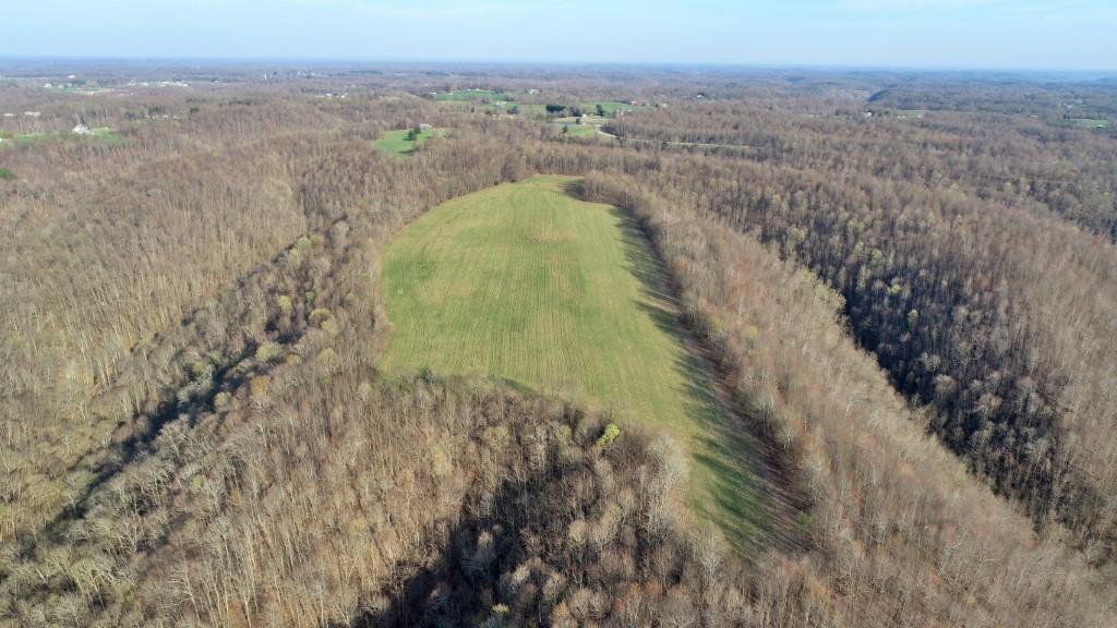4 Carthage Road Pleasant Shade, TN 37145 - Photo 4 of 5 a view of a city with lush green forest
