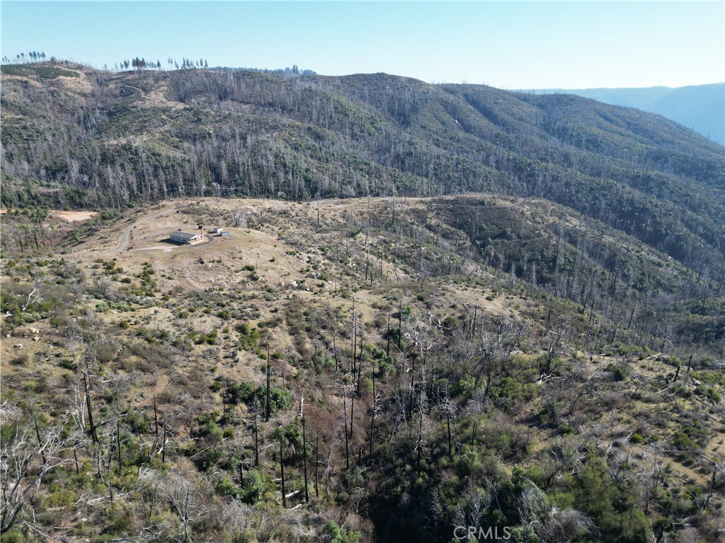 a view of a dry yard