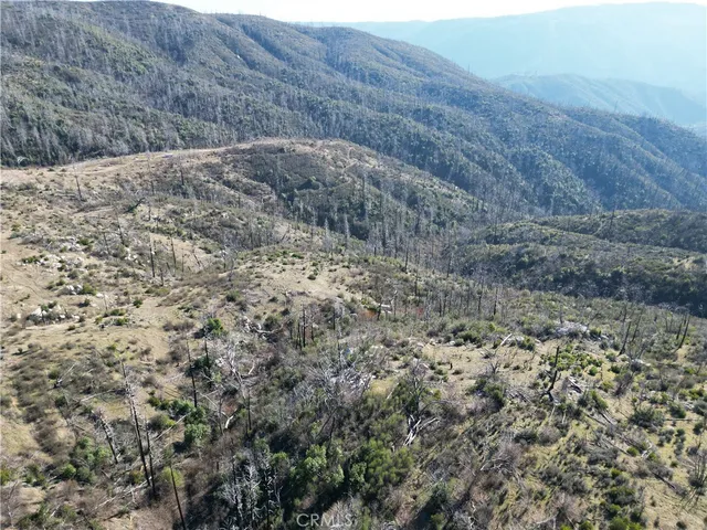 a view of a dry yard