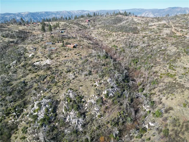 an aerial view of houses covered in trees