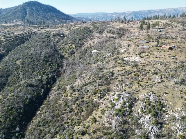 a view of a dry space with lots of trees