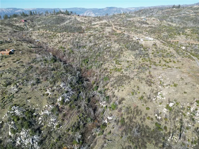 an aerial view of houses covered in trees