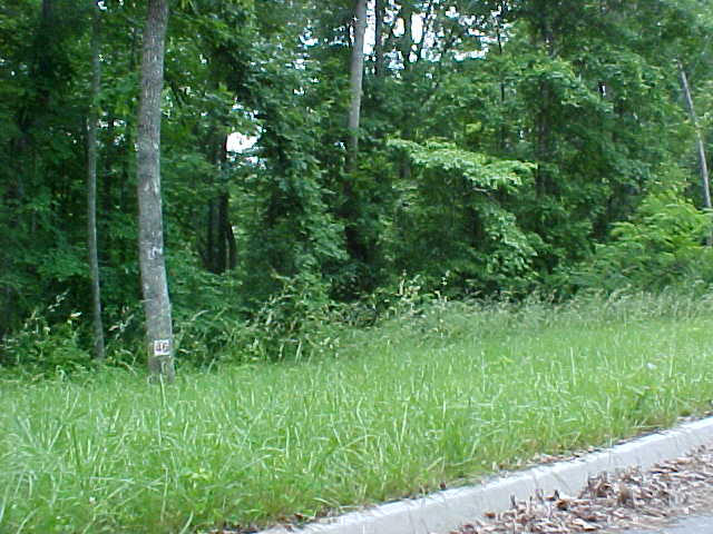 Lot 46 Cherokee Drive Rutledge, TN 37861 - Photo 2 of 3 Lot 46