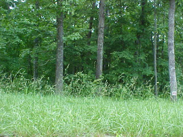 Lot 46 Cherokee Drive Rutledge, TN 37861 - Photo 3 of 3 Lot 46-2
