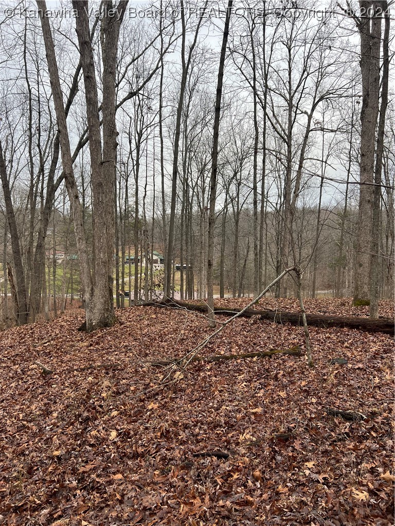 580 Cedar Valley Road Ripley, WV 25271 - Photo 27 of 28 Gallery Image 27
