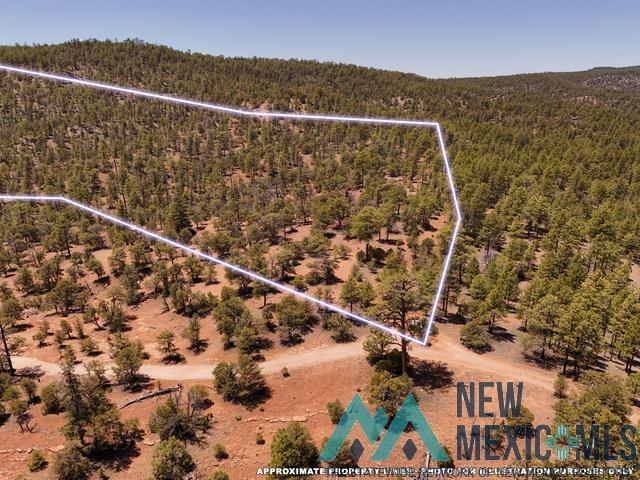 Tbd Tbd Little Arrow Road Grants, NM 87020 - Photo 68 of 69