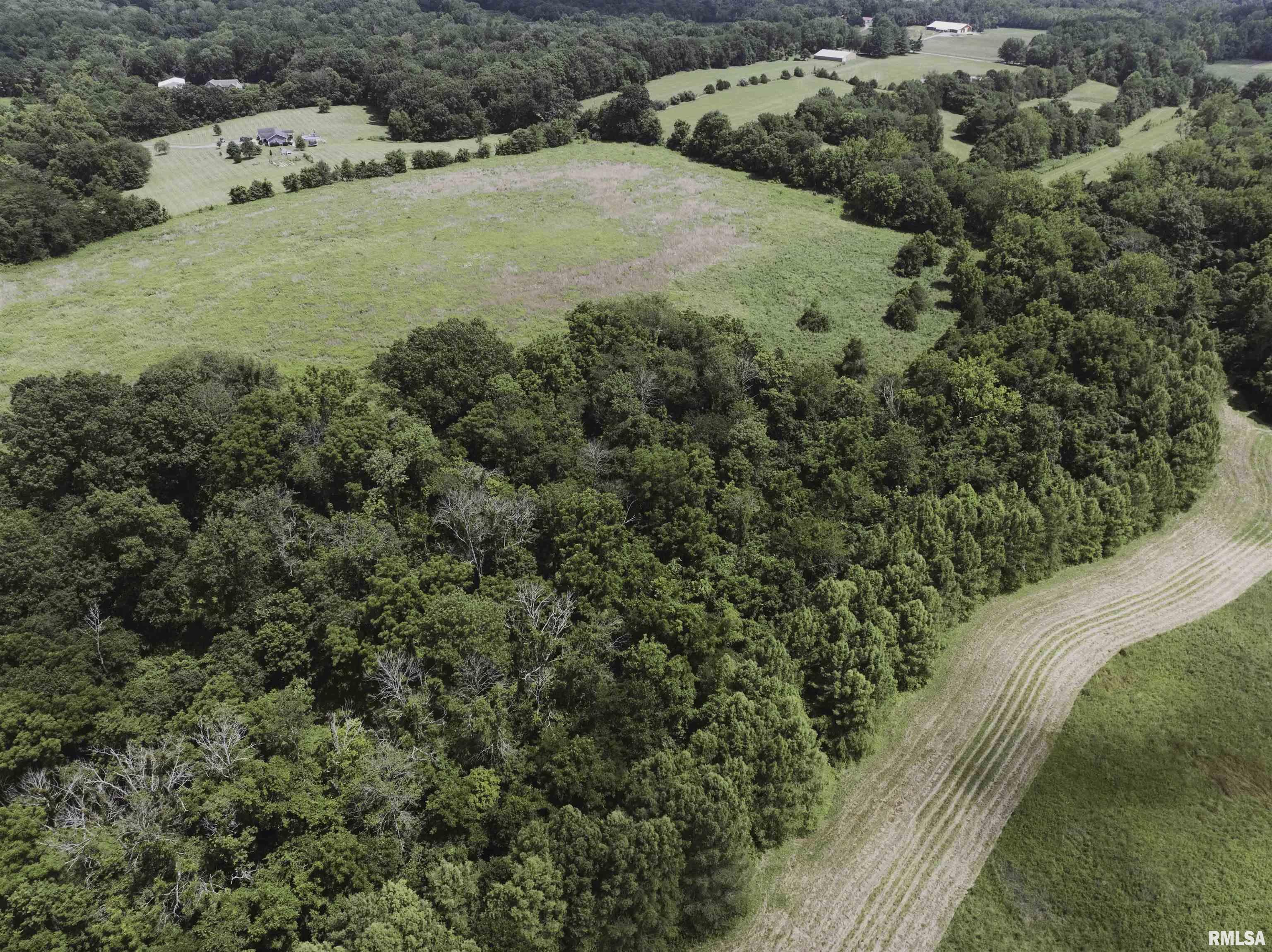 3200 Wing Hill Road Cobden, IL 62920 - Photo 3 of 12 Gallery Image 3