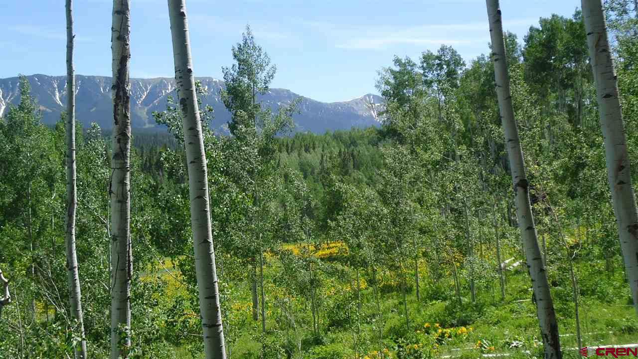 1598 Sioux Road Gunnison, CO 81230 - Photo 3 of 9 Gallery Image 3