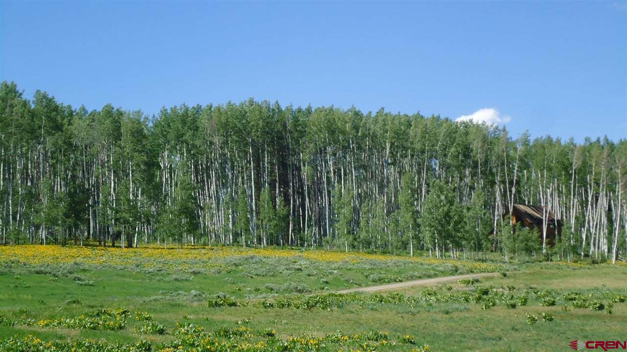 1598 Sioux Road Gunnison, CO 81230 - Photo 6 of 9 Gallery Image 6