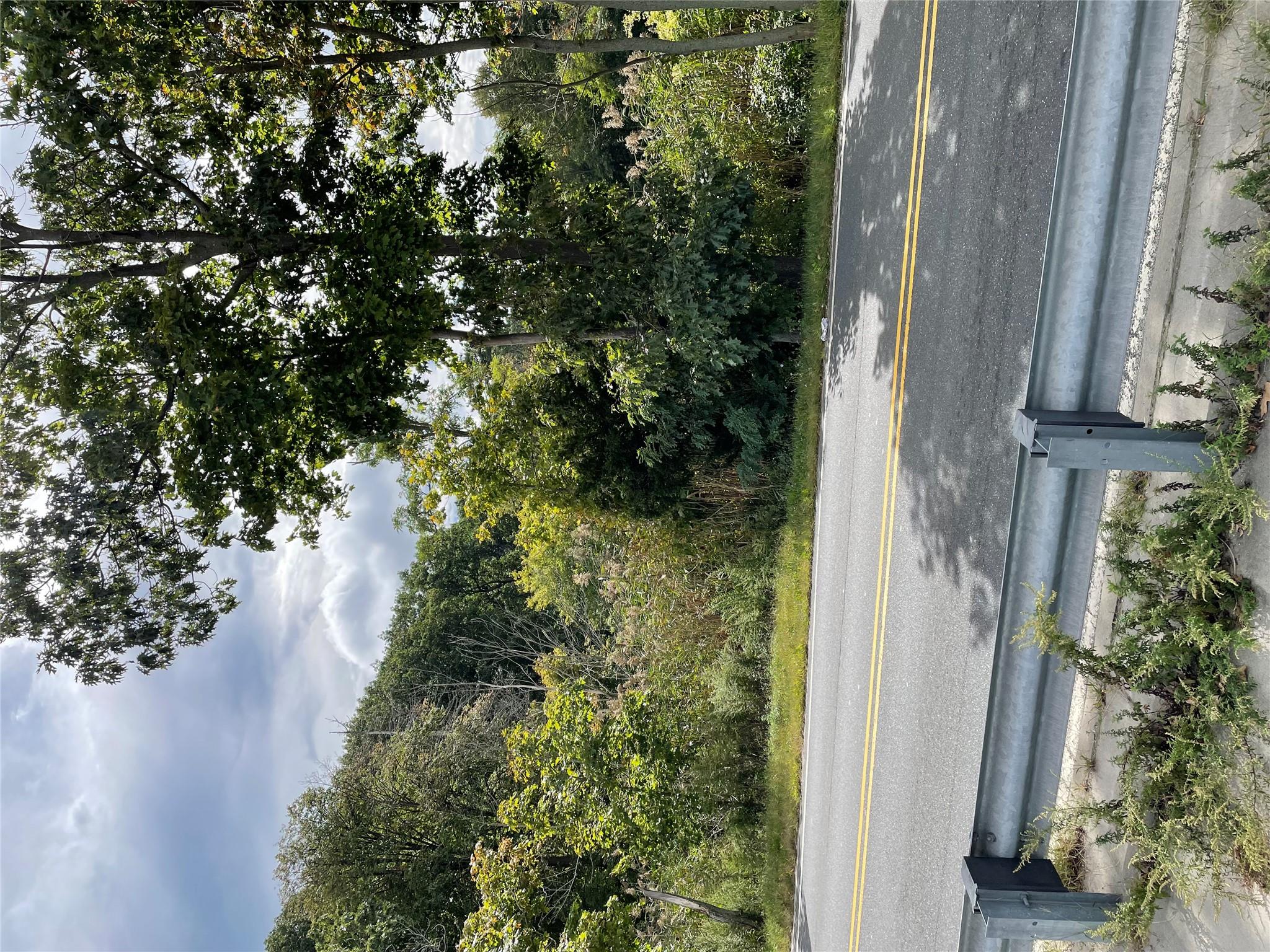 a view of a pathway both side of a yard