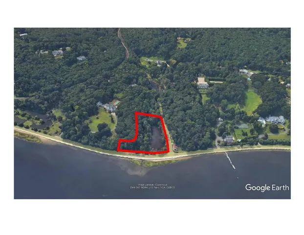 a open area with lots of trees