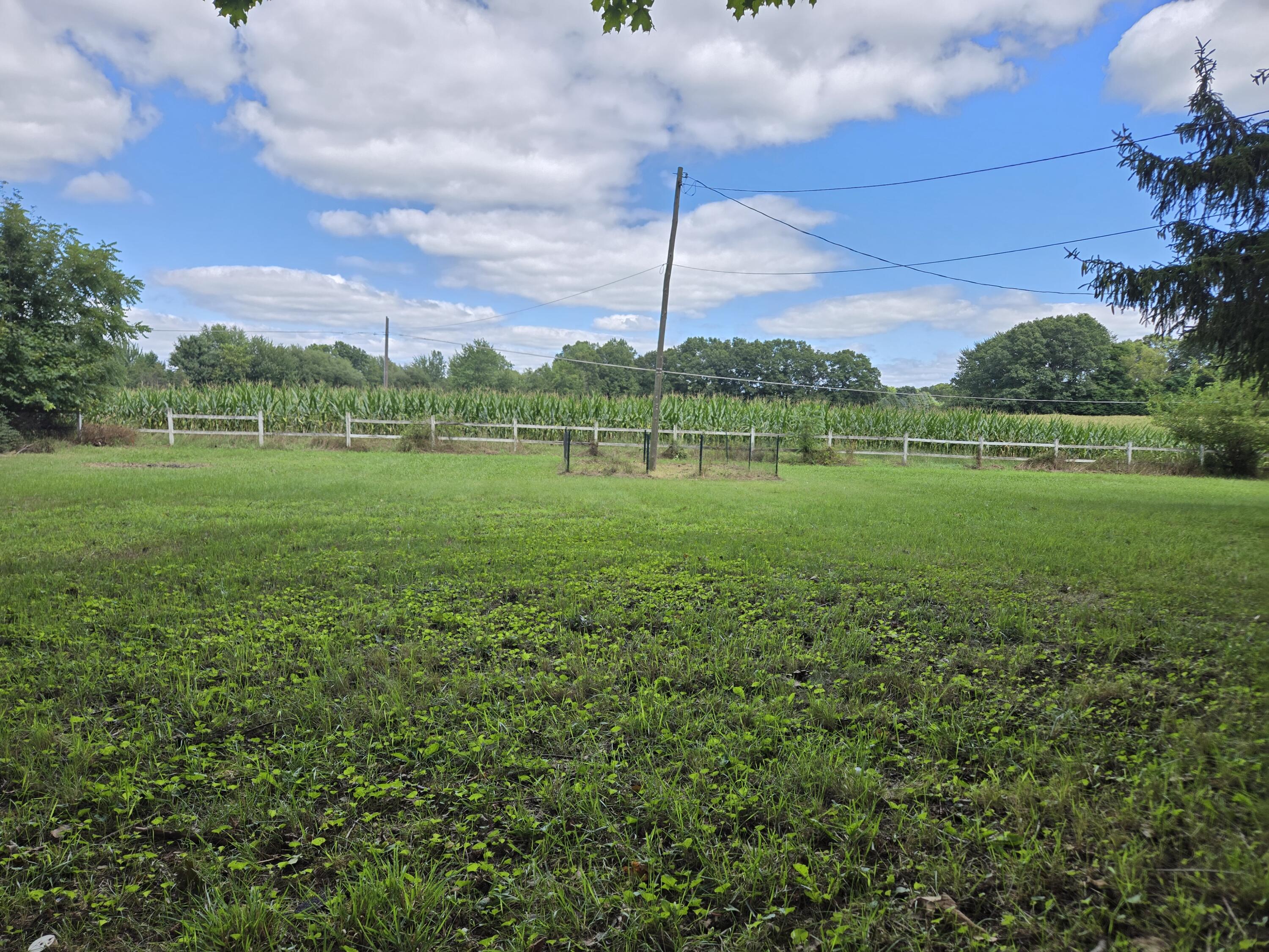 6167 East Becht Road Coloma, MI 49038 - Photo 3 of 32 Back Yard
