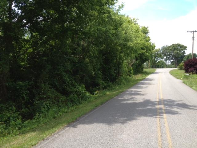 3696 Bowker Road Charlotte, TN 37036 - Photo 12 of 18 No neighbors. Left side is the property. Mostly wooded w/some small timber.Wet weather creek in back. If you like hunting or 4 wheeling, this is unrestricted land. Do what you want. Target shoot, hike, ride or clear for more pasture. Enjoy 22 acres