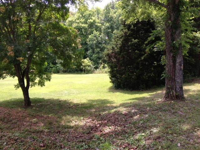 3696 Bowker Road Charlotte, TN 37036 - Photo 13 of 18 Right side yard. Mature trees. This area was cleared last year so you can see what potential this land has. Clear more or enjoy it as it is. Plenty of open for the kids to play. How about a Pool? Horsehoes?Football game? Bring it on!