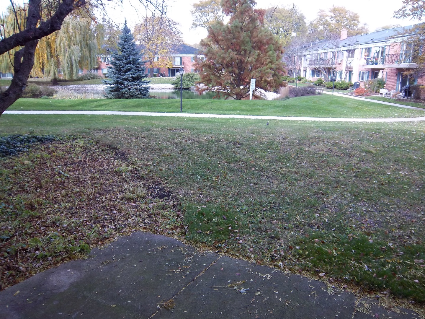702 East Algonquin Road, Unit 109 Arlington Heights, IL 60005 - Photo 12 of 13