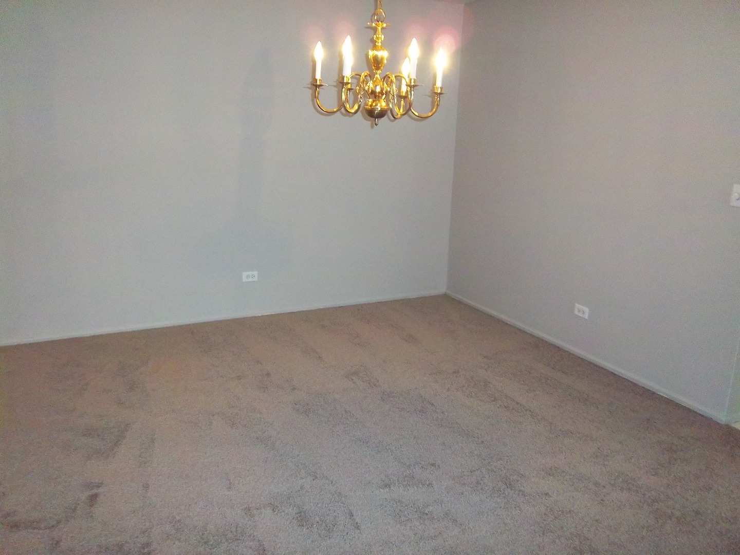 702 East Algonquin Road, Unit 109 Arlington Heights, IL 60005 - Photo 6 of 13