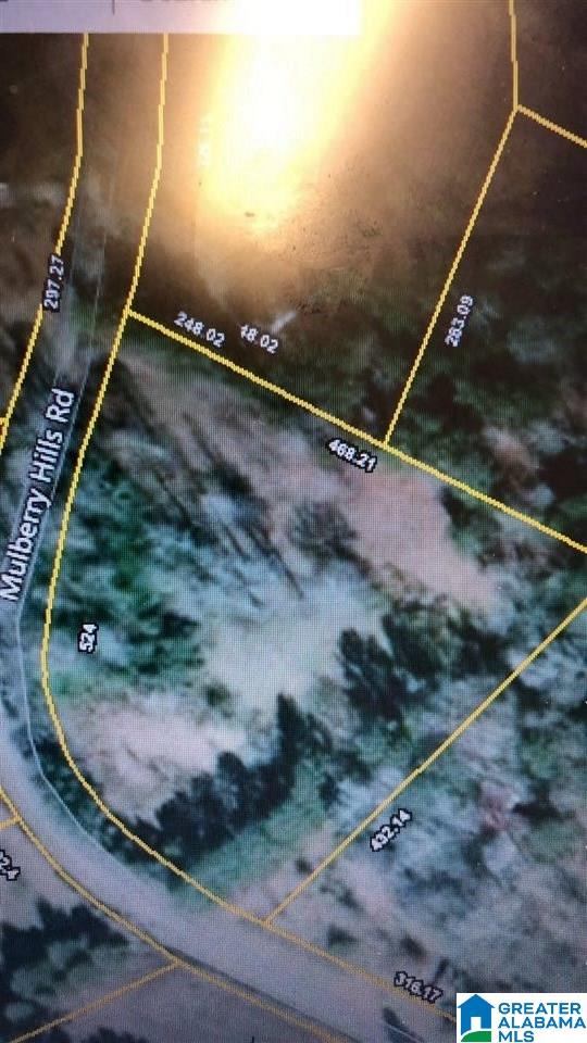 1000 Mulberry Hills Road Hayden, AL 35079 - Photo 12 of 12