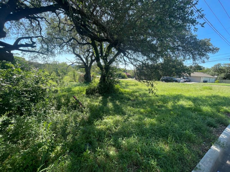 a view of field with large trees