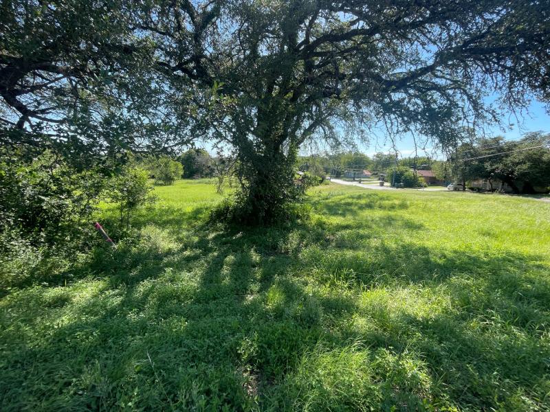700 South Rhomberg Street Burnet, TX 78611 - Photo 2 of 2 a view of outdoor space and yard