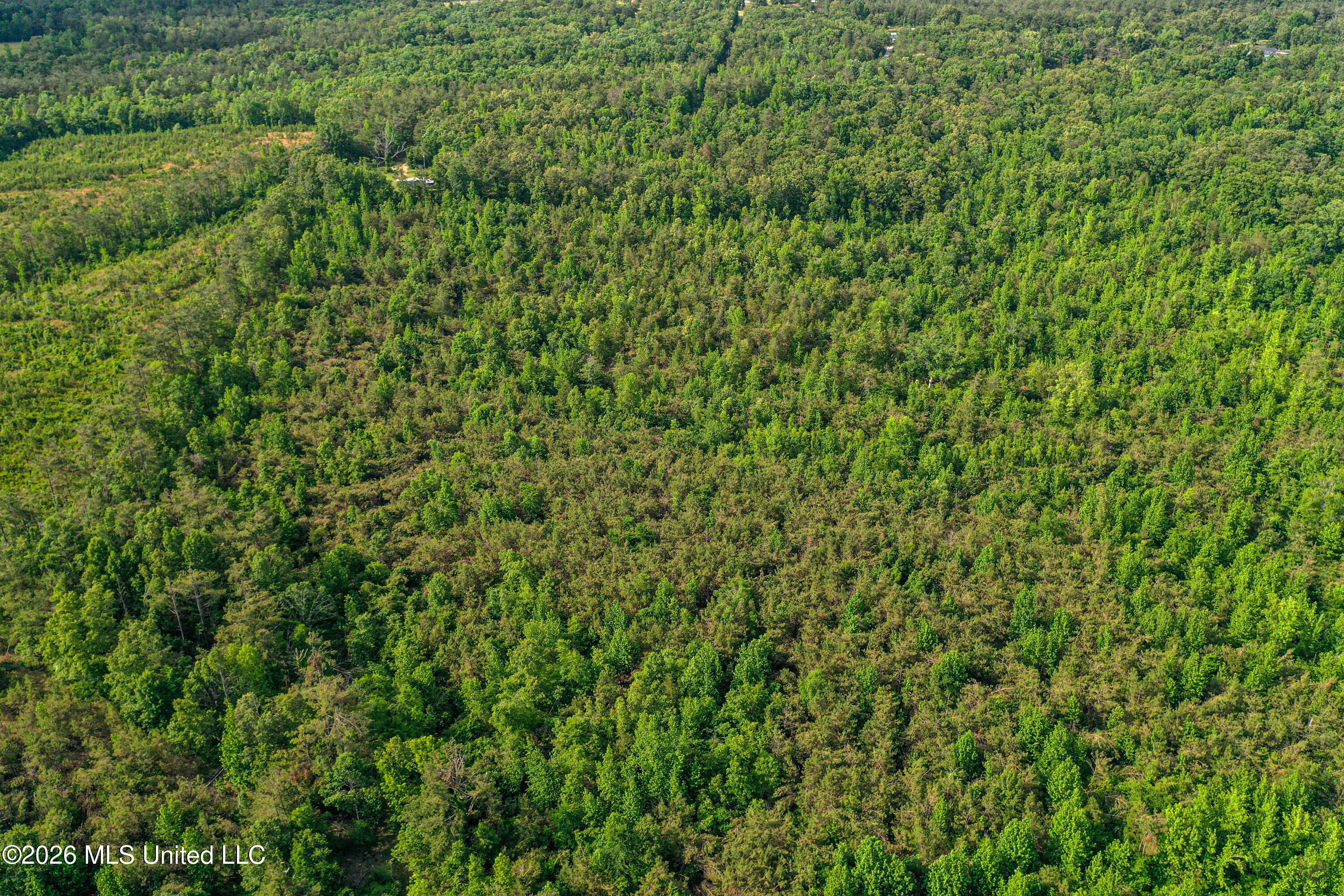 816 County Road Blue Mountain, MS 38610 - Photo 6 of 21 DJI_0744