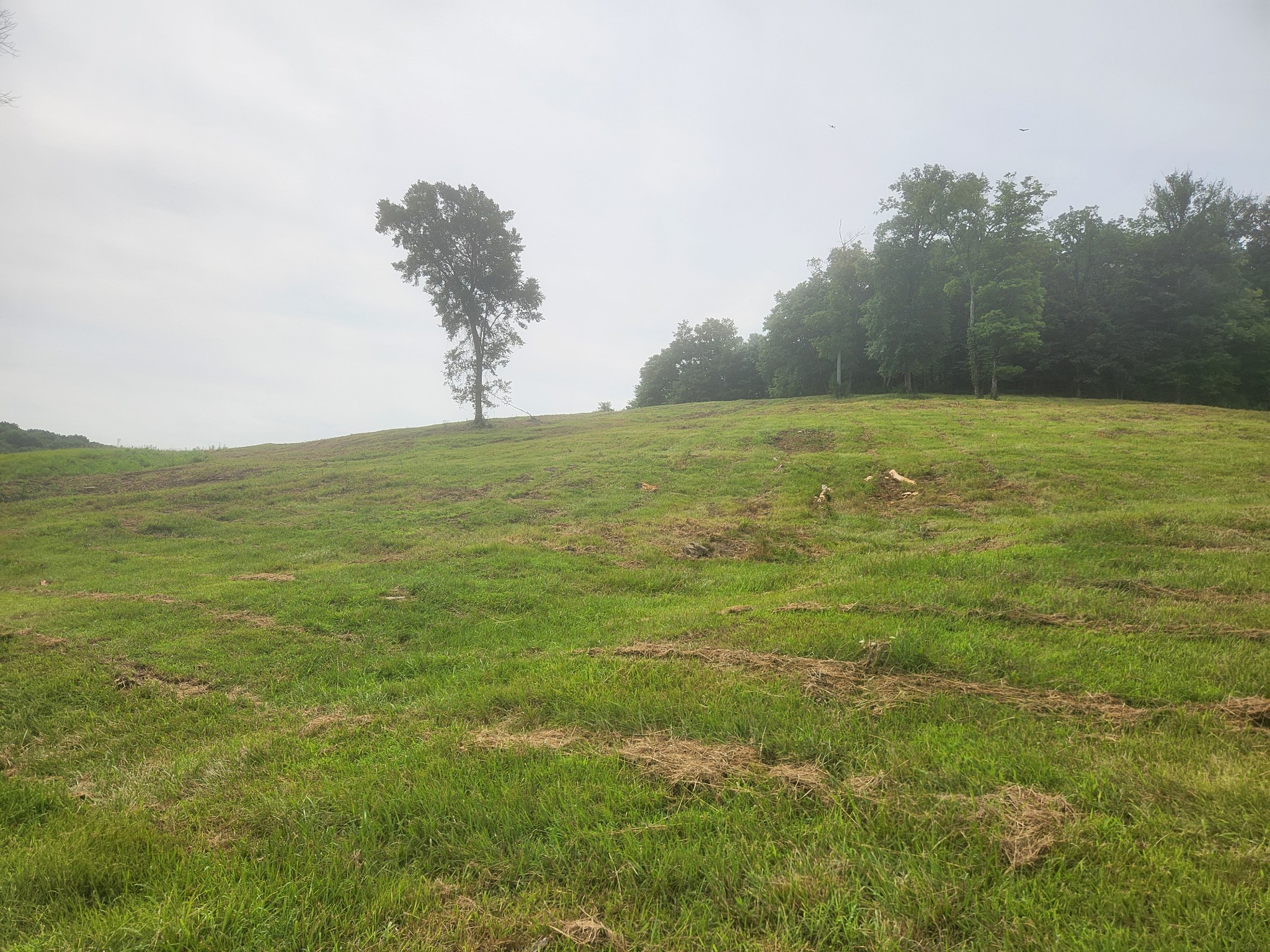 0 Barrett Road Watertown, TN 37184 - Photo 29 of 40 Gallery Image 29
