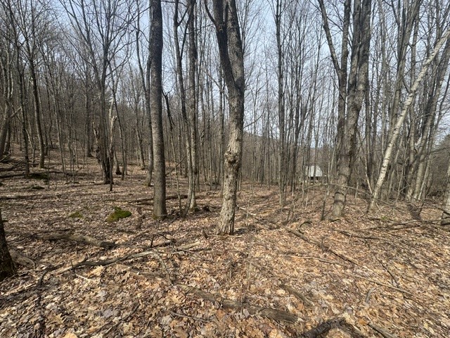 653 Frank Briggs Road Davenport, NY 13820 - Photo 11 of 47