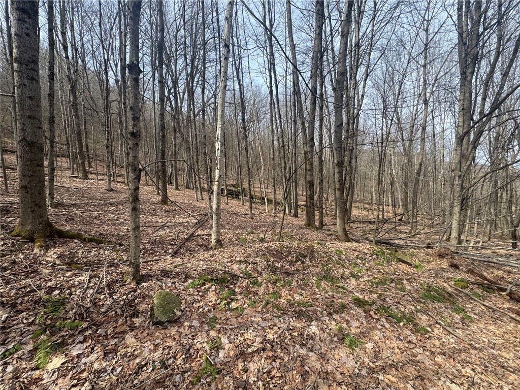 653 Frank Briggs Road Davenport, NY 13820 - Photo 12 of 47