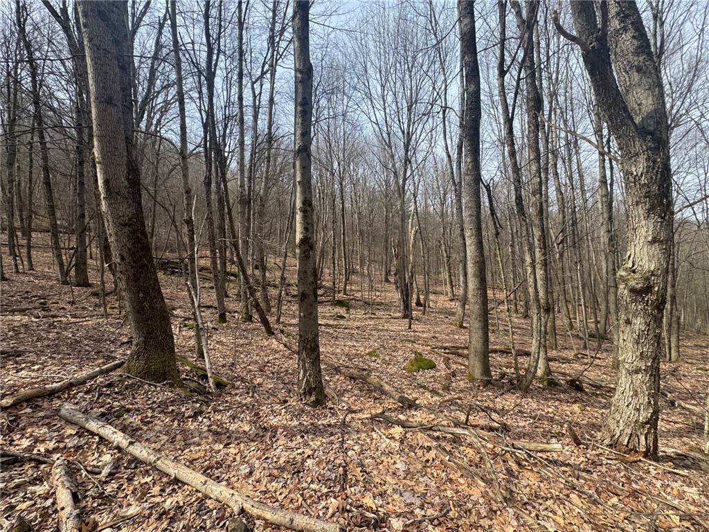 653 Frank Briggs Road Davenport, NY 13820 - Photo 13 of 47