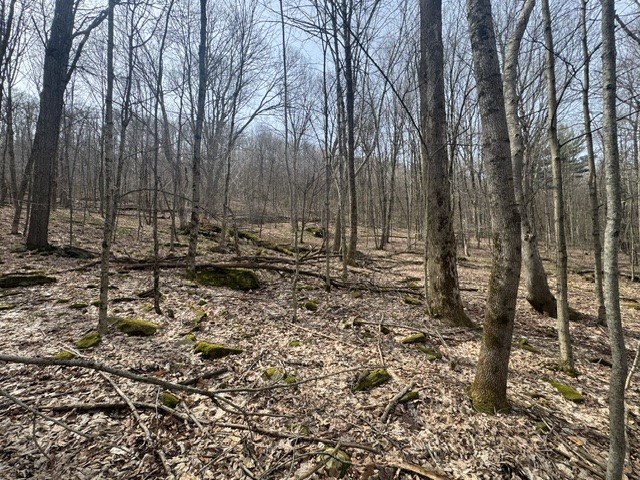 653 Frank Briggs Road Davenport, NY 13820 - Photo 16 of 47