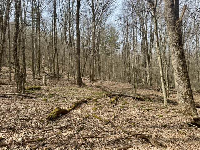 653 Frank Briggs Road Davenport, NY 13820 - Photo 19 of 47