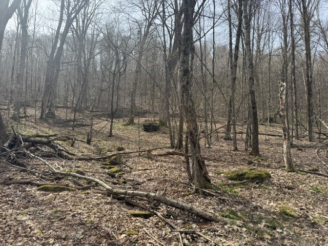 653 Frank Briggs Road Davenport, NY 13820 - Photo 20 of 47