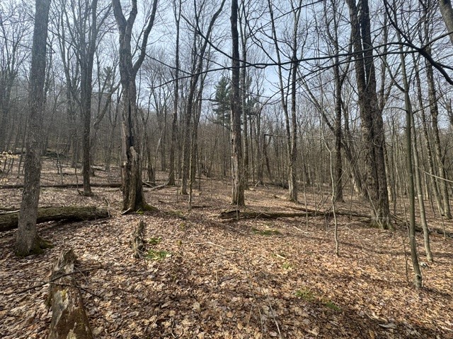 653 Frank Briggs Road Davenport, NY 13820 - Photo 21 of 47