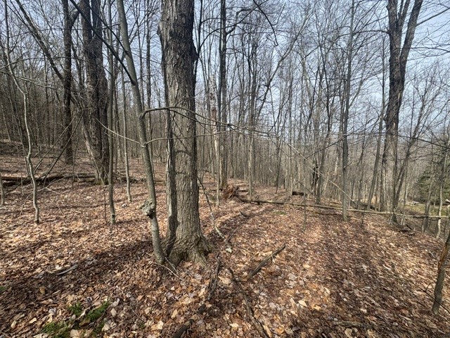 653 Frank Briggs Road Davenport, NY 13820 - Photo 23 of 47