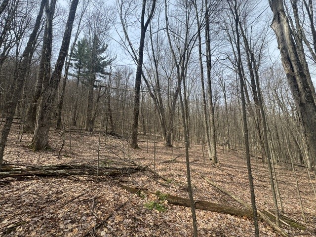 653 Frank Briggs Road Davenport, NY 13820 - Photo 24 of 47