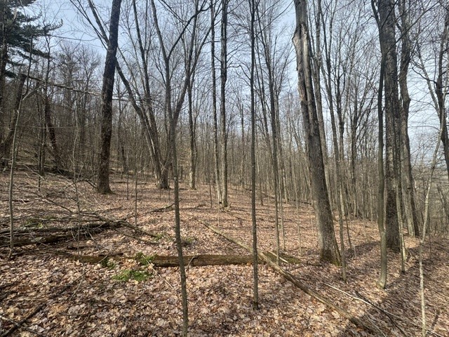 653 Frank Briggs Road Davenport, NY 13820 - Photo 25 of 47