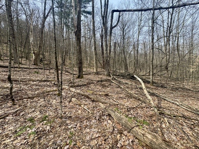 653 Frank Briggs Road Davenport, NY 13820 - Photo 27 of 47