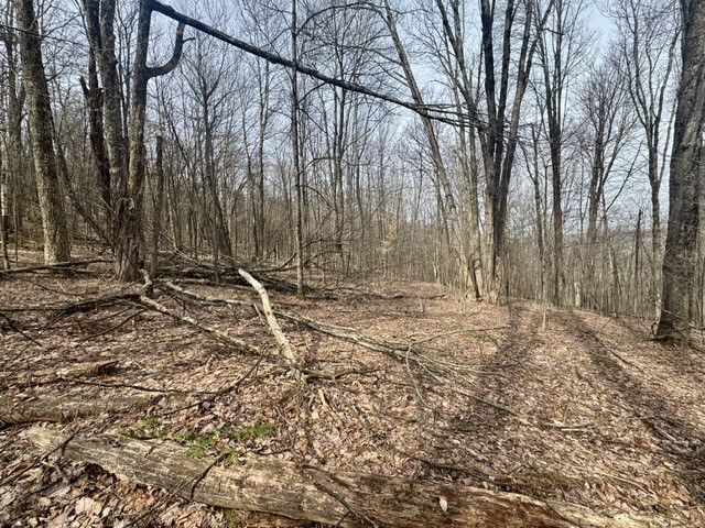 653 Frank Briggs Road Davenport, NY 13820 - Photo 28 of 47