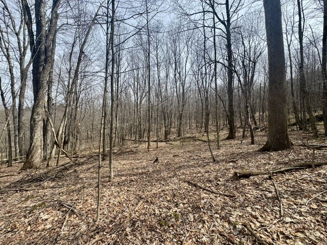 653 Frank Briggs Road Davenport, NY 13820 - Photo 29 of 47